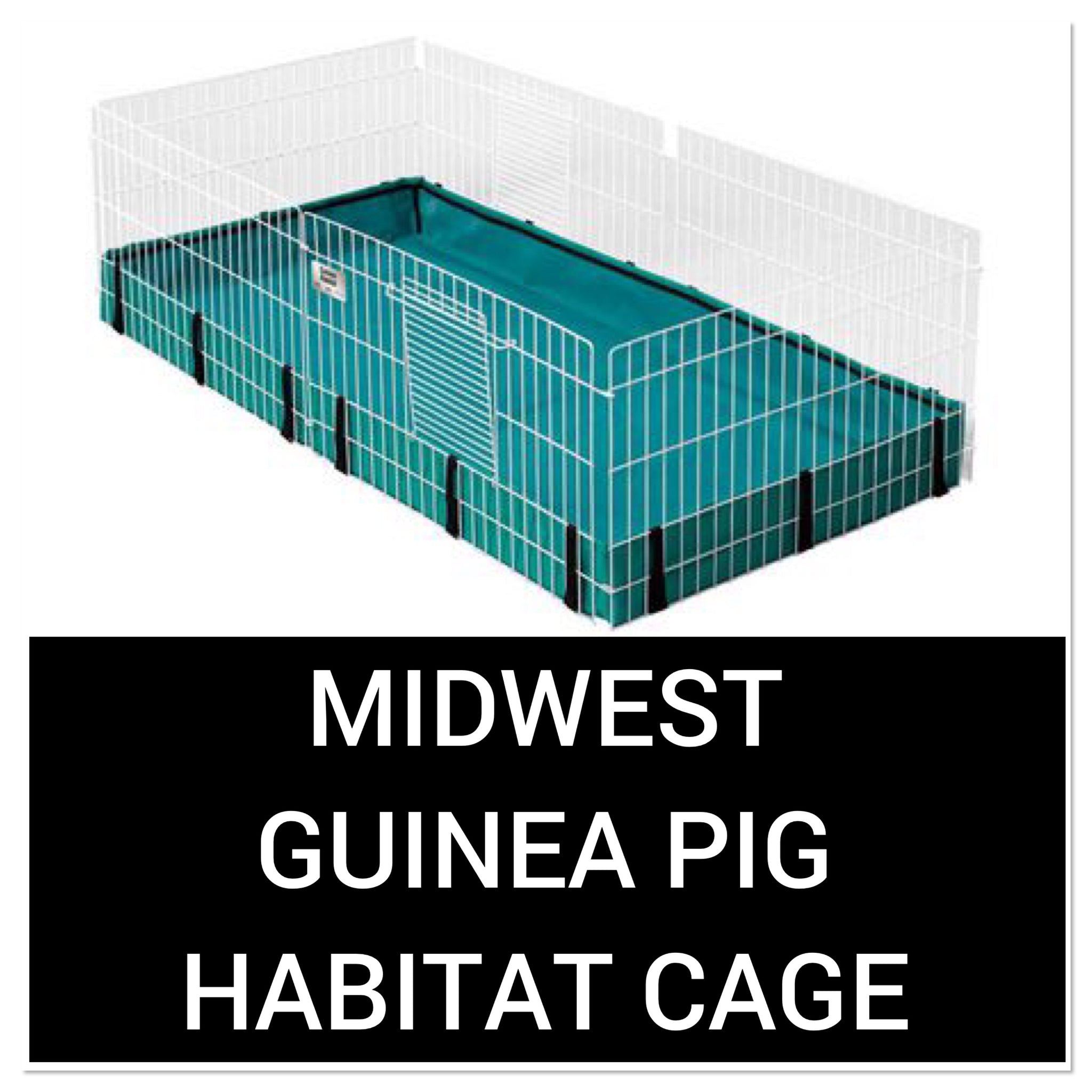 Midwest Guinea Pig Habitat