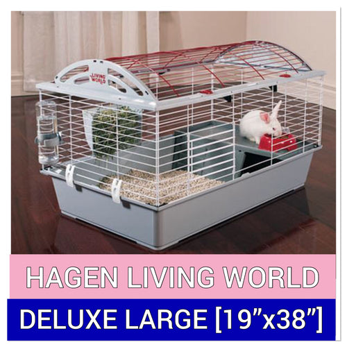 CUSTOM LIVING WORLD LARGE 19