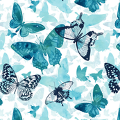 TURQUOISE BUTTERFLIES ON WHITE [SPECIAL ORDER]